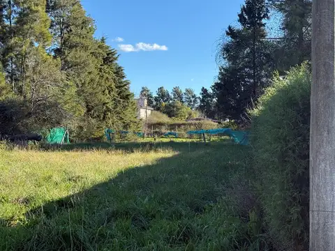 Venta - Lote 730 m2 - Parque Sakura - Exaltación de la Cruz