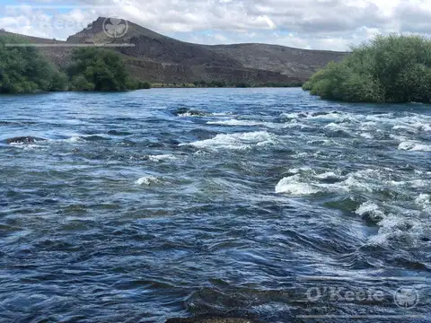 Bariloche  chacras Rio Limay 10 Has