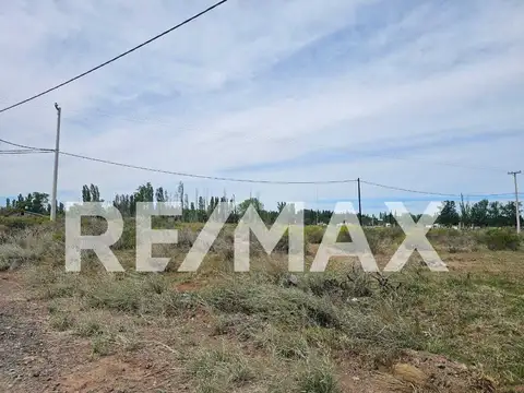 Terreno en Venta en Plottier, USD 7.000