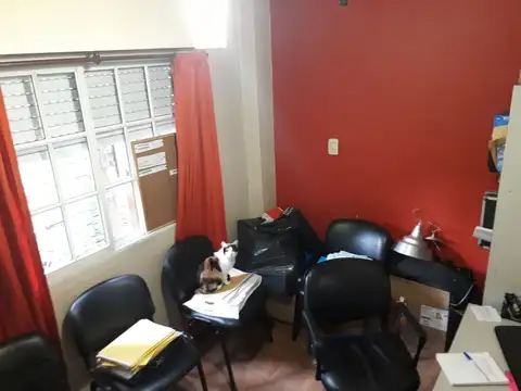 Domingo F Sarmiento 600