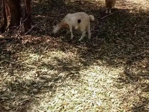 Terreno en Venta de 40000,0 m2