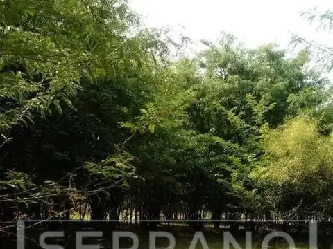 JHO. Venta lote de 4 hectáreas en El Cazador 200