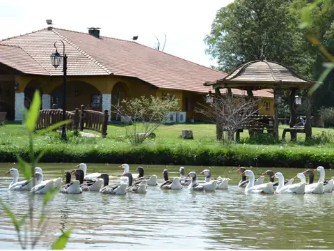 Campo Mixto 470 Has - Inmejorables instalaciones - Fácil Acceso