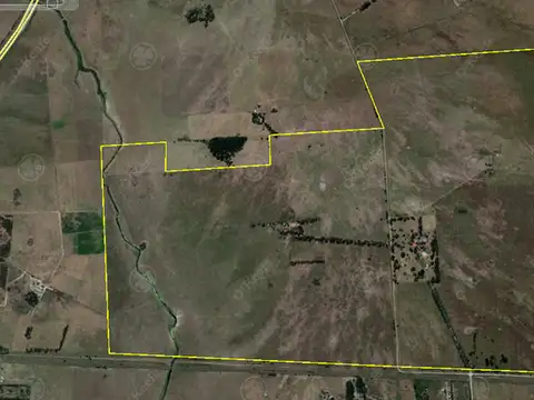 Campo Mixto 470 Has - Inmejorables instalaciones - Fácil Acceso