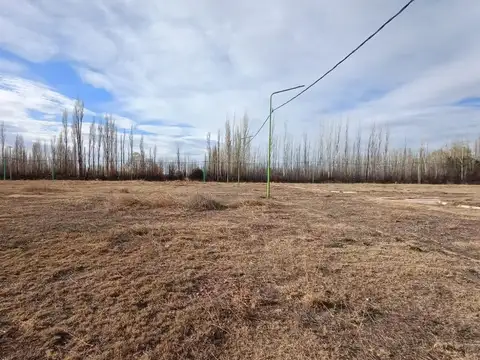 Terreno en Venta de 300,0 m2