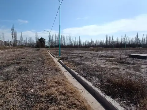 Terreno en Venta en Cinco Saltos, USD 11.000