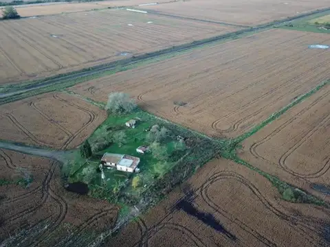 Campo en venta - 80.000mts2 - Exaltación de La Cruz