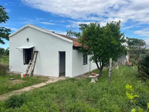 Ruta 8 y Diego Gaynor