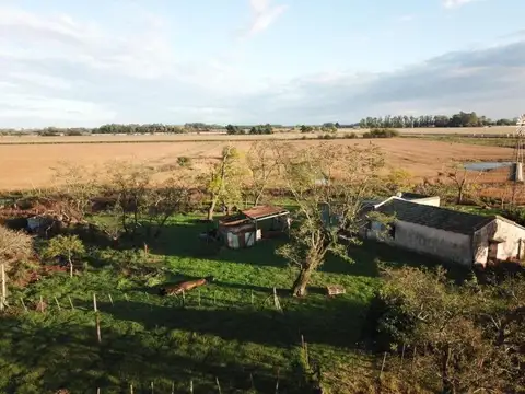 Ruta 8 y Diego Gaynor