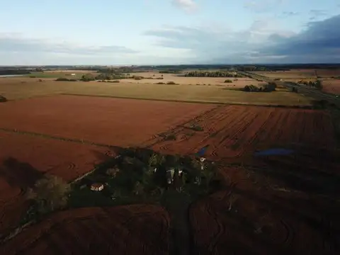 Ruta 8 y Diego Gaynor