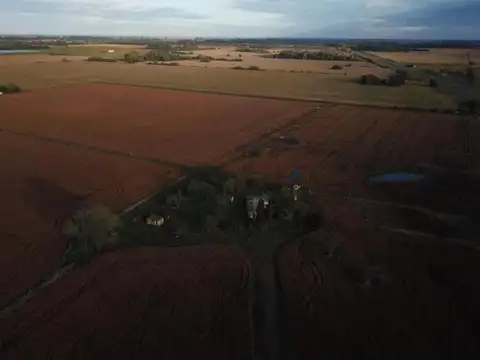 Campo en venta - 80.000mts2 - Exaltación de La Cruz