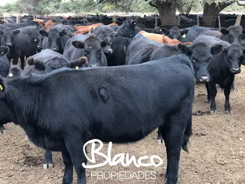 Casa en Venta en Quines, USD 1