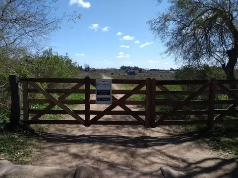 Terreno - Venta - Argentina, Arturo Seguí - Calle 426 y 155