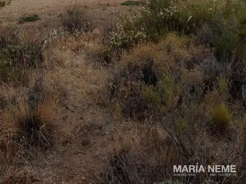 Terreno en Venta de 2679,0 m2