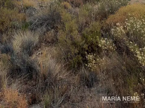 Terreno en Venta en Dina Huapi, USD 120.000