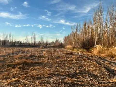 ALQUILER CHACRA  CIPOLLETTI