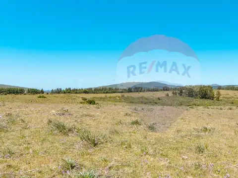 Chacras en venta Ruta 39 San Carlos - Oportunidad!