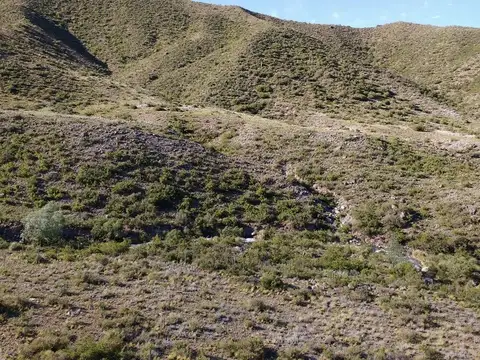 Terreno en Venta de 2000,0 m2