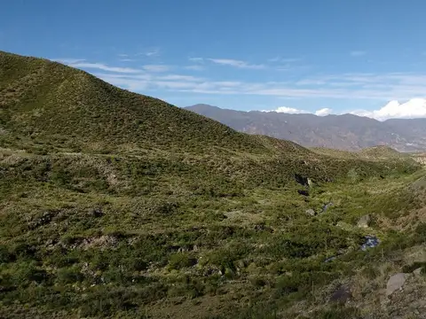 LOTE EN VENTA POTRERILLOS MENDOZA