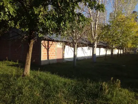 La Gaviota y La Calandria