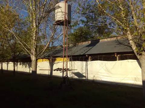 La Gaviota y La Calandria