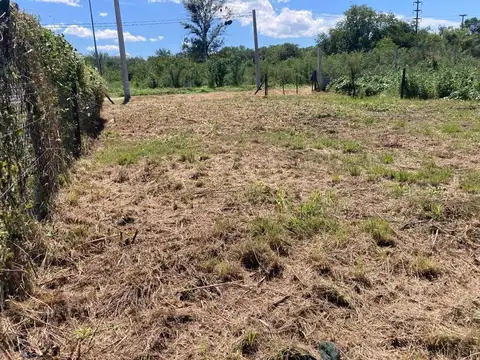 Ruta Provincial E53 100