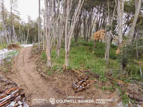 VENTA Lote/Terreno Financiado 1478m2 UF 18 Faldeo del bayo Villa La Angostura