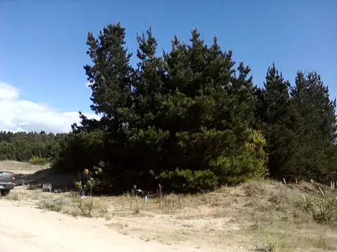 Terreno en Venta de 1000,0 m2