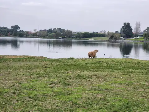 Terreno en Venta de 4755,0 m2