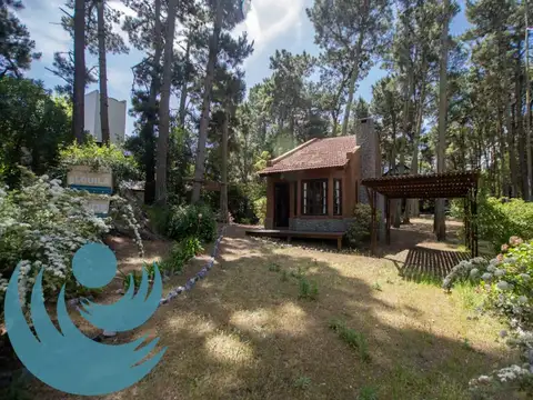 Disponible temporada 2026