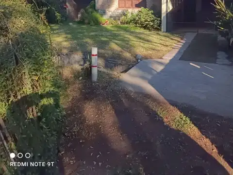 00443-Reina Mora 300