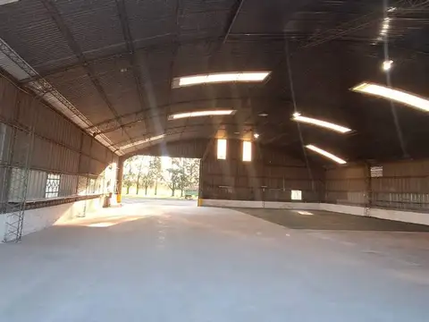 ALQUILER GALPON EN IBARLUCEA