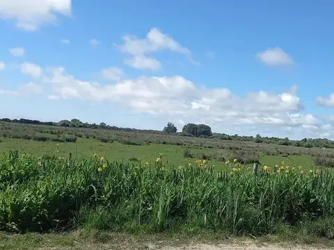 Terreno en venta - 1400Mts2 - Punta Indio