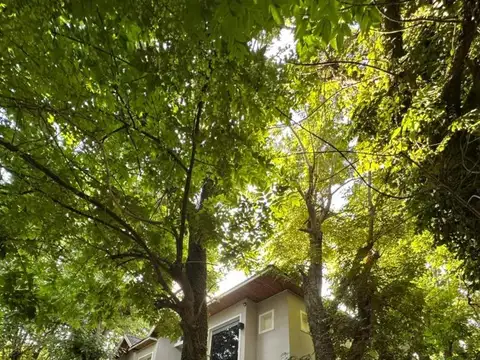 Abril Club De Campo Buhos