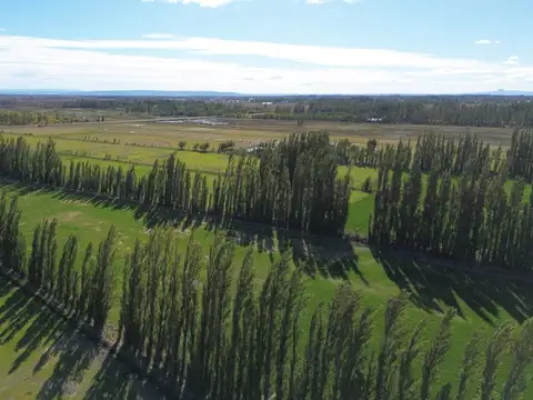 Chacra en  Sarmiento