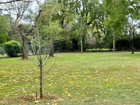 TERRENO EN VENTA EN VILLA ELISA