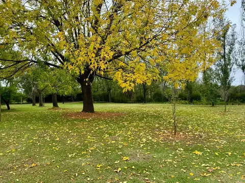 Terreno en Venta en Villa Elisa, USD 119.000