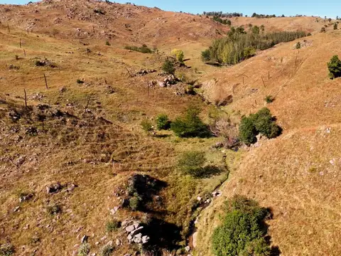 Campo en Venta de 3  ha