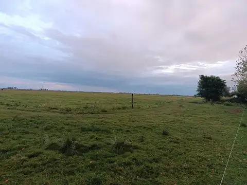 Terreno en Venta de 11000,0 m2