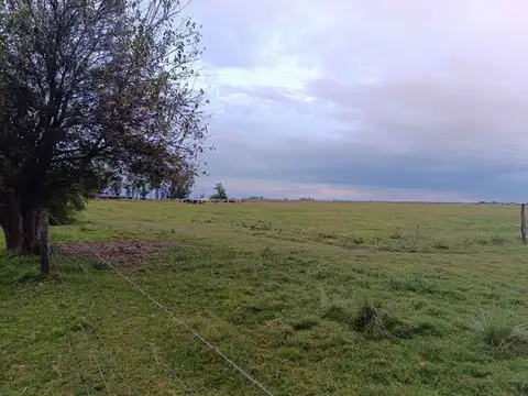 VENTA 11 Has PARA DESAROLLO URBANO EN SASTRE.