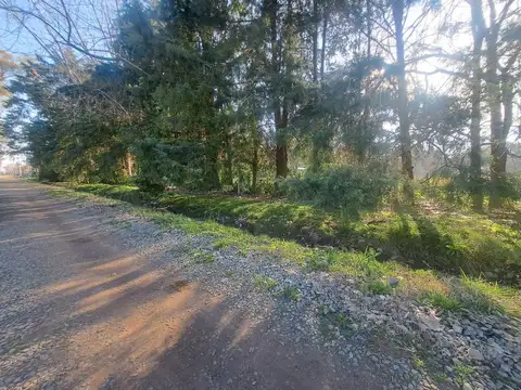 Terreno en Venta de 941,0 m2