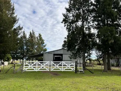 Campo en Venta - Altamirano