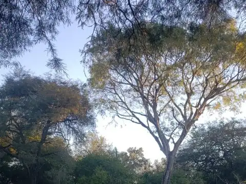 Terreno en Venta en Villa Fabiana, USD 28.000