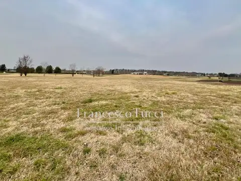 Av. Fernández Beschtedt Lote / N° 4200