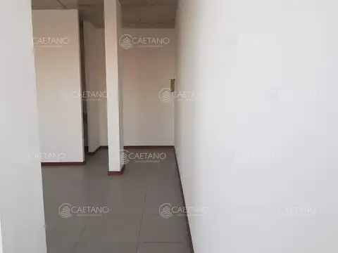 Local en Alquiler Temporal en Punta del Este, USD 0