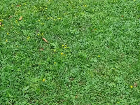 RETASADO! Lote en venta con Pileta, en el Barrio La Loma, Del Viso, Pilar 