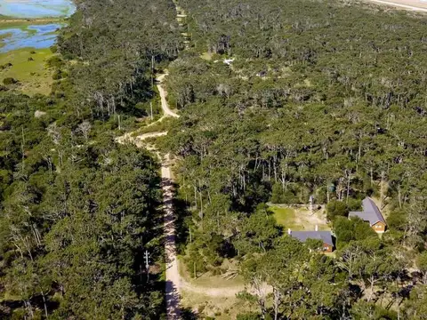 Terreno - Venta - Uruguay, Laguna Garzon