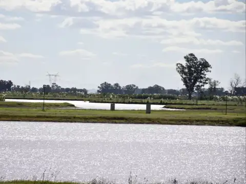 LOTE A LA LAGUNA. SANTA CLARA CANNING SAN VICENTE