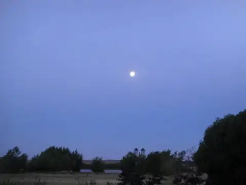 Terreno en Venta de 20000,0 m2