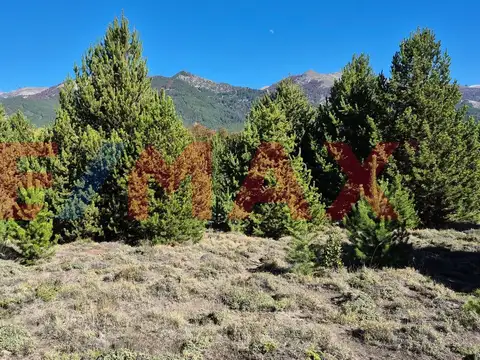 Terreno en Venta en Meliquina, USD 55.000